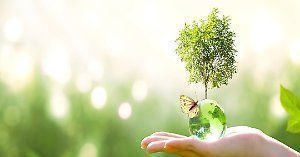 Il rapporto fra Covid-19 e qualità dell’aria