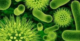 Normativa sui biocidi: il regolamento europeo e il sistema dei controlli Normativa sui biocidi: il regolamento europeo e il sistema dei controlli