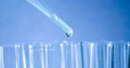 Interferenti endocrini: rischi per la salute e principio di precauzione Interferenti endocrini: rischi per la salute e principio di precauzione