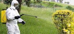 I rischi cancerogeni in agricoltura I rischi cancerogeni in agricoltura