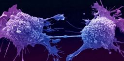 Agricoltura: riflessioni sul rischio cancerogeno dei pesticidi Agricoltura: riflessioni sul rischio cancerogeno dei pesticidi