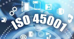 Il modello cindinico e la nuova norma ISO 45001 Il modello cindinico e la nuova norma ISO 45001