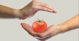 Exposicuramente: la sicurezza alimentare dalla terra alla tavola Exposicuramente: la sicurezza alimentare dalla terra alla tavola