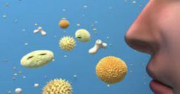Rischio biologico: l’inquinamento da bioaerosol e spore fungine Rischio biologico: l’inquinamento da bioaerosol e spore fungine