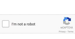 CAPTCHA: uno strumento di sicurezza sempre più diffuso CAPTCHA: uno strumento di sicurezza sempre più diffuso