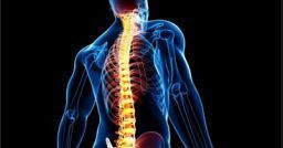 Igiene vertebrale: un progetto gratuito per gli smart worker Igiene vertebrale: un progetto gratuito per gli smart worker