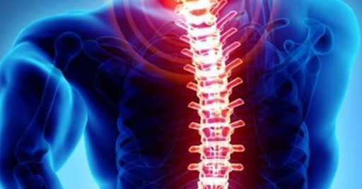 Igiene vertebrale: come prevenire i disturbi muscolo scheletrici Igiene vertebrale: come prevenire i disturbi muscolo scheletrici