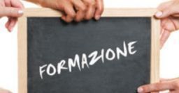 Videoconferenze: smart working, comunicazione in emergenza e HSE Videoconferenze: smart working, comunicazione in emergenza e HSE