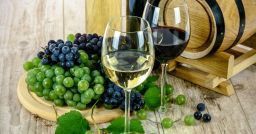 Spazi confinati: la gestione dei rischi nelle cantine vinicole Spazi confinati: la gestione dei rischi nelle cantine vinicole