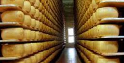La sicurezza nei caseifici: illuminazione, areazione e microclima La sicurezza nei caseifici: illuminazione, areazione e microclima
