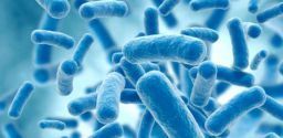 Come fare i controlli della contaminazione microbiologica nei luoghi di lavoro? Come fare i controlli della contaminazione microbiologica nei luoghi di lavoro?