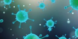 La qualità nell’analisi della contaminazione microbiologica La qualità nell’analisi della contaminazione microbiologica