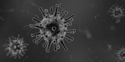 Contaminazione microbiologica: ci sono valori di riferimento? Contaminazione microbiologica: ci sono valori di riferimento?