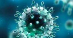 Come fare la valutazione dei rischi relativi al nuovo coronavirus? Come fare la valutazione dei rischi relativi al nuovo coronavirus?