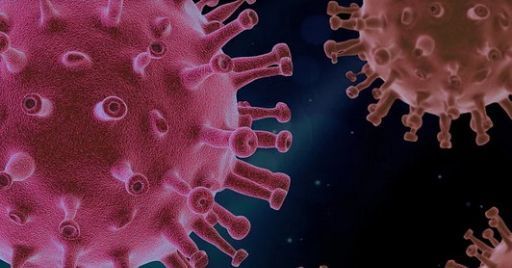 La forza normativa dei protocolli condivisi nell’emergenza COVID-19 La forza normativa dei protocolli condivisi nell’emergenza COVID-19