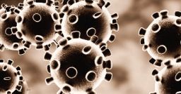COVID-19: sulla valutazione dei rischi da esposizione ad agenti biologici COVID-19: sulla valutazione dei rischi da esposizione ad agenti biologici