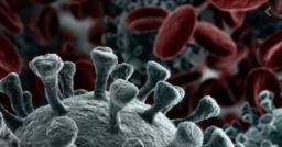 Come prevenire il coronavirus nelle strutture residenziali sociosanitarie? Come prevenire il coronavirus nelle strutture residenziali sociosanitarie?