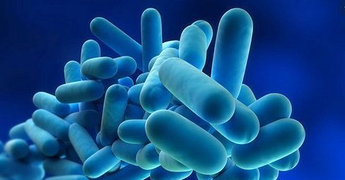 Il rischio legionella negli edifici non utilizzati a causa del Covid Il rischio legionella negli edifici non utilizzati a causa del Covid