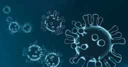 Coronavirus: alcune raccomandazioni per i luoghi di lavoro Coronavirus: alcune raccomandazioni per i luoghi di lavoro