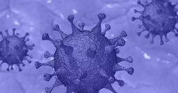 Coronavirus: indicazioni per datori di lavoro e medici competenti Coronavirus: indicazioni per datori di lavoro e medici competenti