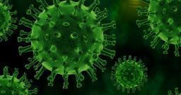 SARS-CoV-2: un metodo per determinare la presenza del virus nell'aria SARS-CoV-2: un metodo per determinare la presenza del virus nell'aria