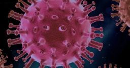 Quali sono i dati utilizzati per calcolare il rischio Covid-19? Quali sono i dati utilizzati per calcolare il rischio Covid-19?
