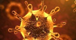 Coronavirus: come deve proteggersi chi lavora a contatto con il pubblico? Coronavirus: come deve proteggersi chi lavora a contatto con il pubblico?