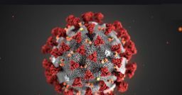 Coronavirus: la prevenzione e la corretta igiene delle mani Coronavirus: la prevenzione e la corretta igiene delle mani