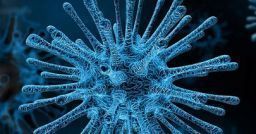 Perché gli operatori sanitari sono stati contagiati dal coronavirus? Perché gli operatori sanitari sono stati contagiati dal coronavirus?