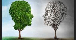 La gestione dello stress, la resilienza e le strategie di coping La gestione dello stress, la resilienza e le strategie di coping
