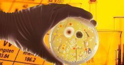 Conoscere il rischio biologico con le metodologie esperienziali Conoscere il rischio biologico con le metodologie esperienziali