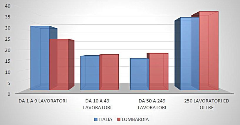 Distribuzione di frequenza relativa dei lavoratori per classi dimensionali