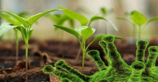 Emergenza COVID-19: la prevenzione e protezione nel settore agricolo Emergenza COVID-19: la prevenzione e protezione nel settore agricolo