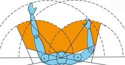 L’ergonomia: il grimaldello per il benessere fisico, psichico e sociale L’ergonomia: il grimaldello per il benessere fisico, psichico e sociale