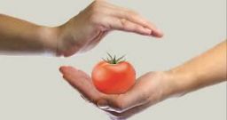 Agroalimentare: la nuova sfida per la sicurezza Agroalimentare: la nuova sfida per la sicurezza