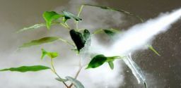 Agricoltura e fitosanitari: la normativa, le attrezzature e i controlli Agricoltura e fitosanitari: la normativa, le attrezzature e i controlli