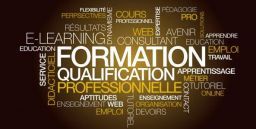 I formatori, la formazione e la valutazione degli apprendimenti I formatori, la formazione e la valutazione degli apprendimenti