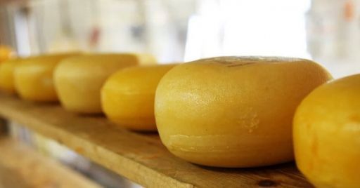 Imparare dagli errori: l’uso delle macchine nella produzione di formaggi Imparare dagli errori: l’uso delle macchine nella produzione di formaggi