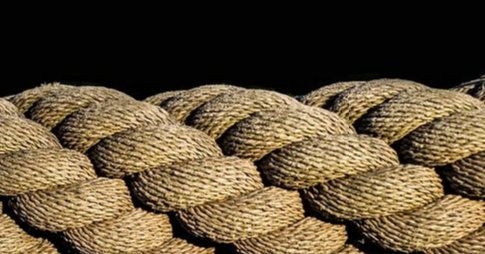 Imparare dagli errori: gli incidenti nei lavori in corda e su fune Imparare dagli errori: gli incidenti nei lavori in corda e su fune