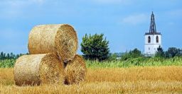 Imparare dagli errori: le difficoltà di stoccaggio in agricoltura Imparare dagli errori: le difficoltà di stoccaggio in agricoltura