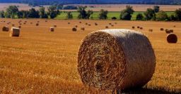 Imparare dagli errori: come evitare gli infortuni con le rotoballe di fieno? Imparare dagli errori: come evitare gli infortuni con le rotoballe di fieno?