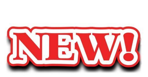 Inail: sorveglianza e non conformità degli apparecchi di sollevamento Inail: sorveglianza e non conformità degli apparecchi di sollevamento