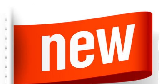 Le verifiche degli apparecchi di sollevamento materiali di tipo trasferibile Le verifiche degli apparecchi di sollevamento materiali di tipo trasferibile