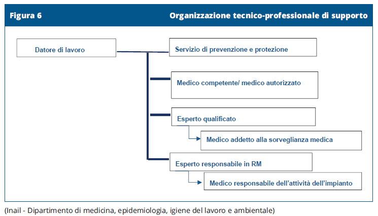 Organizzazione tecnico-professionale di supporto