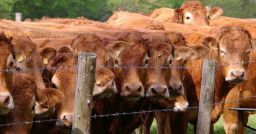 Come migliorare la sicurezza nelle attività in presenza di liquami? Come migliorare la sicurezza nelle attività in presenza di liquami?
