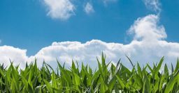 Come prevenire il rischio di perdita di controllo dei mezzi in agricoltura? Come prevenire il rischio di perdita di controllo dei mezzi in agricoltura?