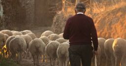 Lavoratori anziani: in cinque comparti il 90% degli infortuni mortali Lavoratori anziani: in cinque comparti il 90% degli infortuni mortali