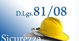 D.Lgs. 81/2008: nascita, efficacia, criticità ed evoluzione della normativa D.Lgs. 81/2008: nascita, efficacia, criticità ed evoluzione della normativa