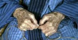 Lavoratori anziani: l’approccio ergonomico all’invecchiamento sul lavoro Lavoratori anziani: l’approccio ergonomico all’invecchiamento sul lavoro