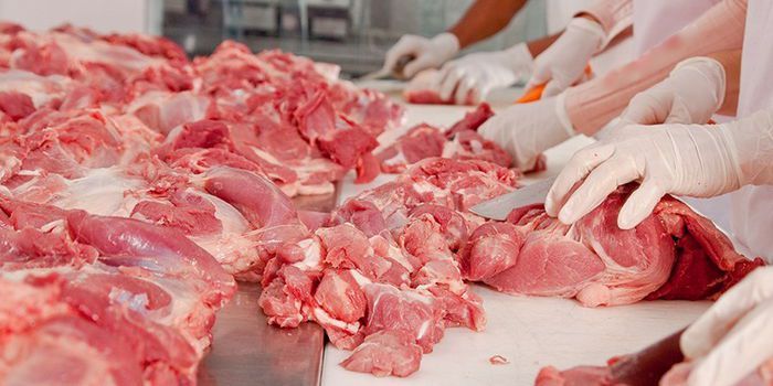 Imparare dagli errori: gli infortuni nell’industria alimentare Imparare dagli errori: gli infortuni nell’industria alimentare